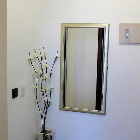 студио в комплекс нестинарка Appartement *