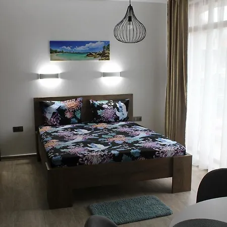 студио в комплекс нестинарка Apartamento *