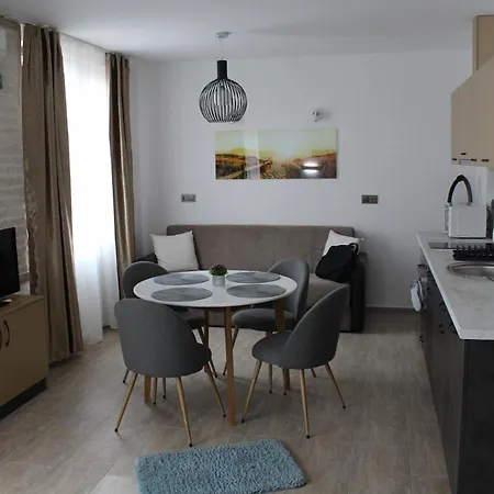 студио в комплекс нестинарка *